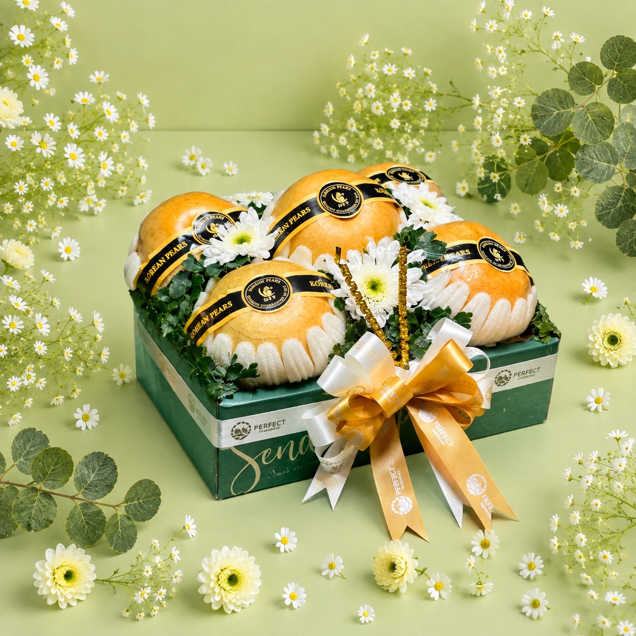 PREMIUMFRUIT - SET02 รหัส SF-02