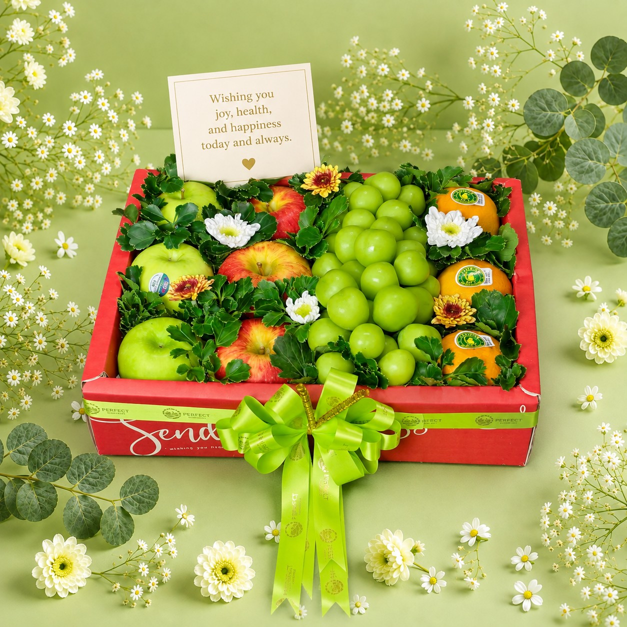 PREMIUMFRUIT - SET14 รหัส SF-14